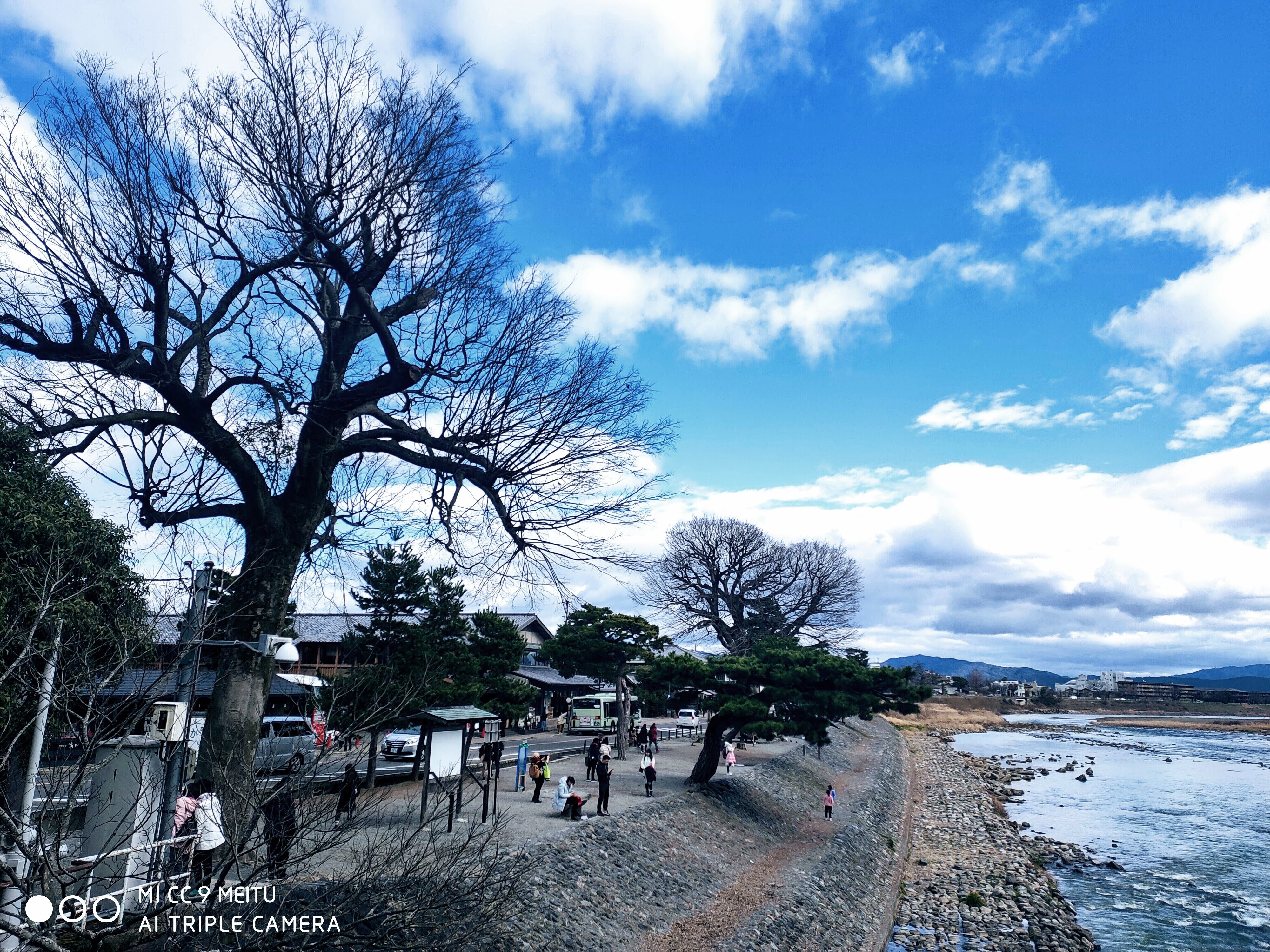 桂川北岸