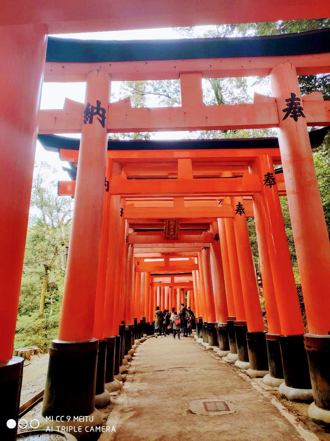 千本鸟居
