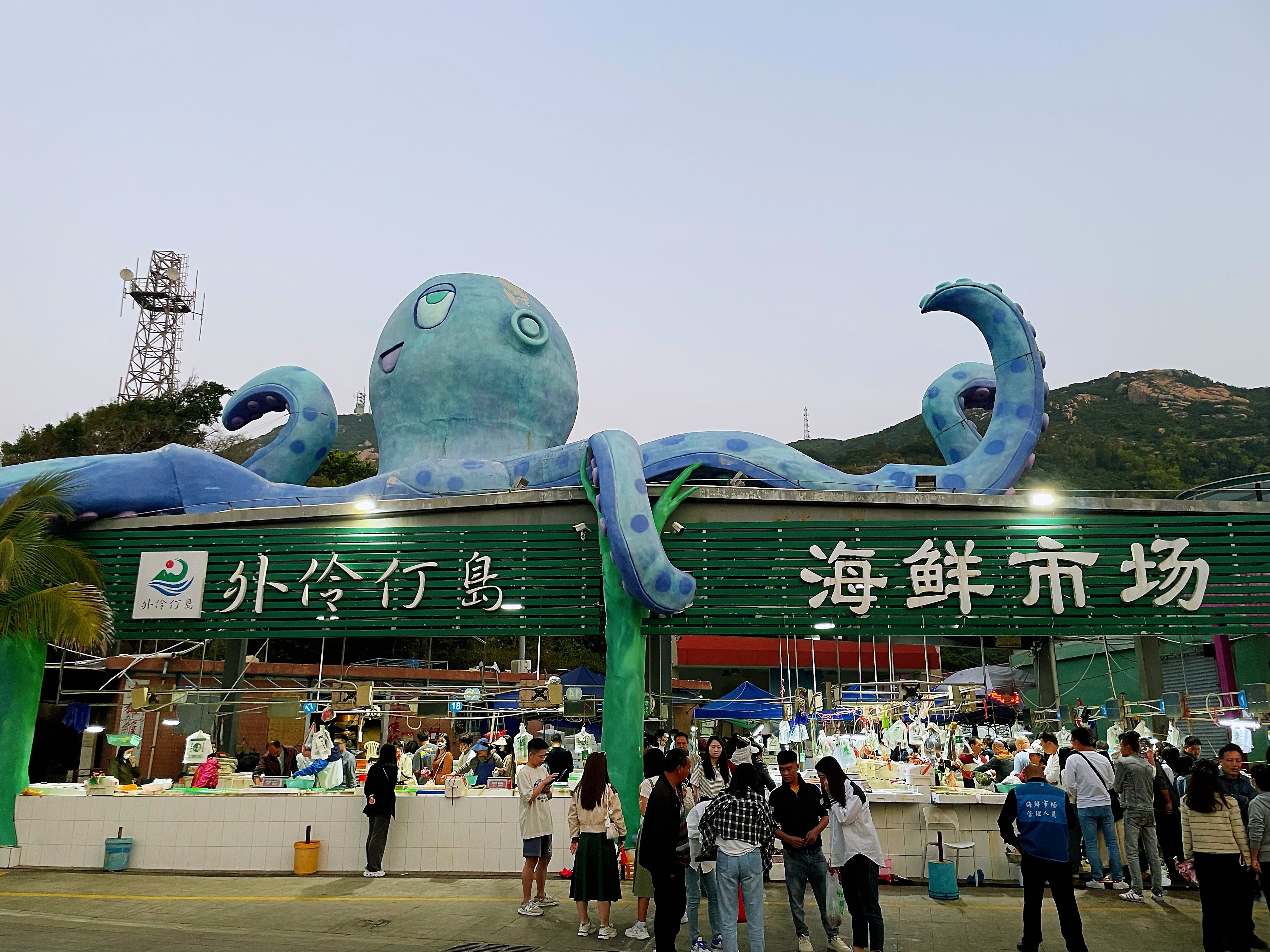 外伶仃岛海鲜市场 · 大蓝章鱼装置
