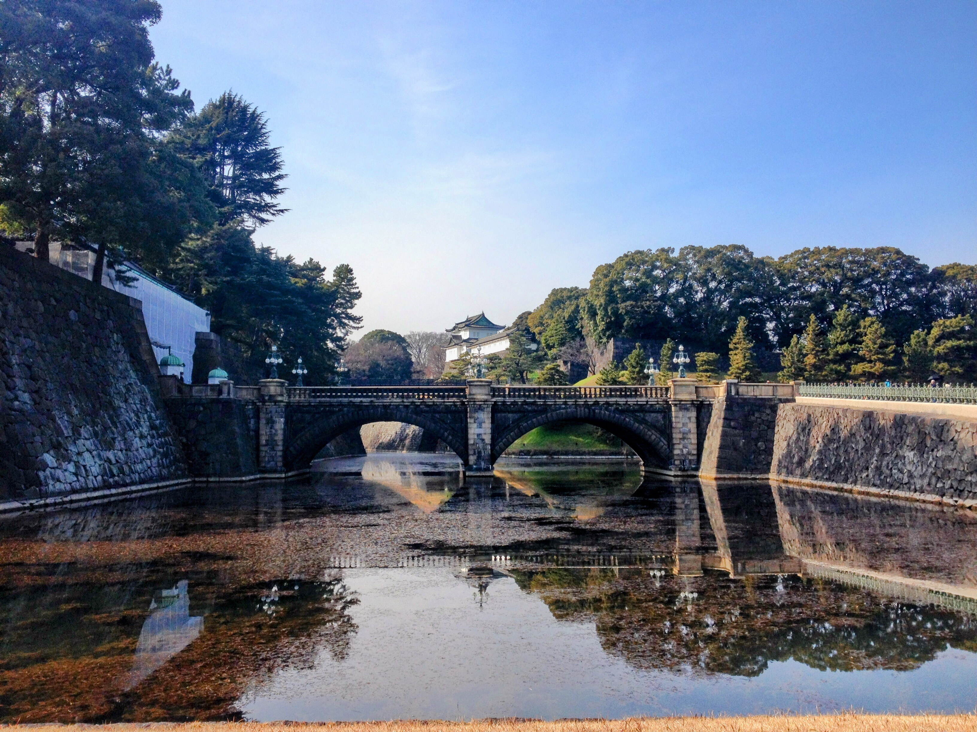 甲午年腊月，东京到札幌